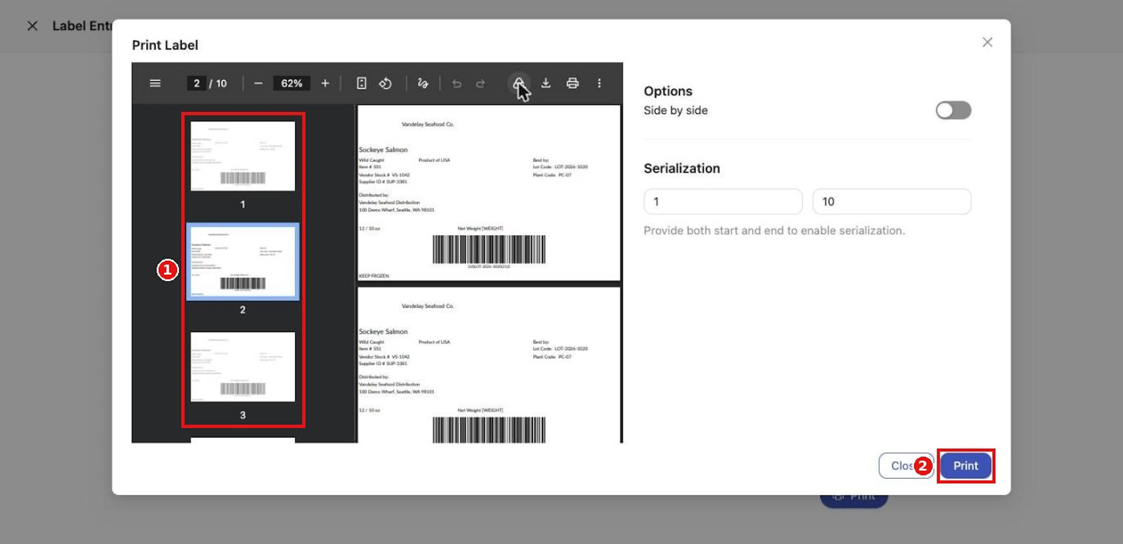 Page through the preview to check the serialized run before clicking Print.