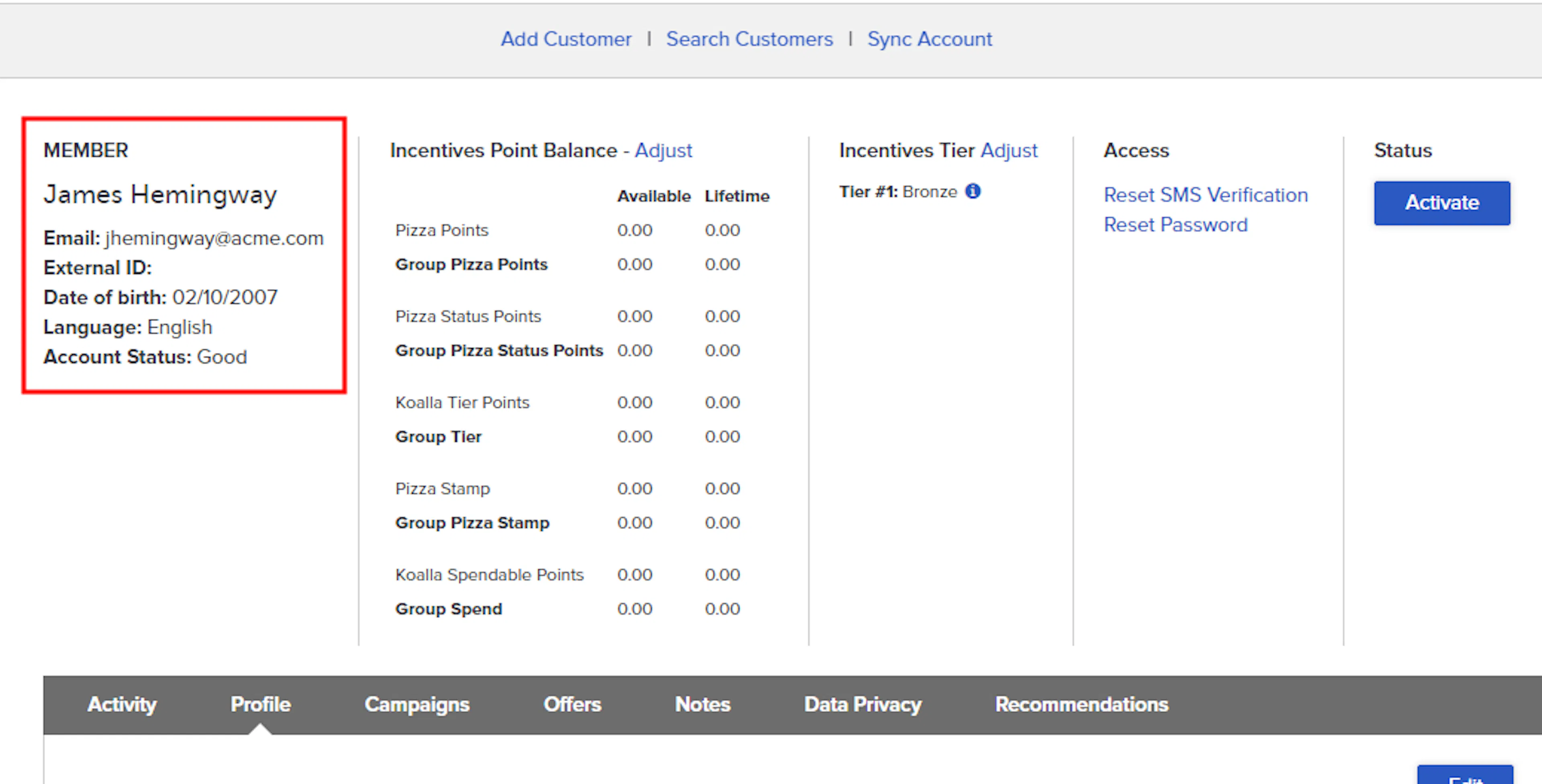 Rendered profile summary HTML highlighted on the Customers Module details page