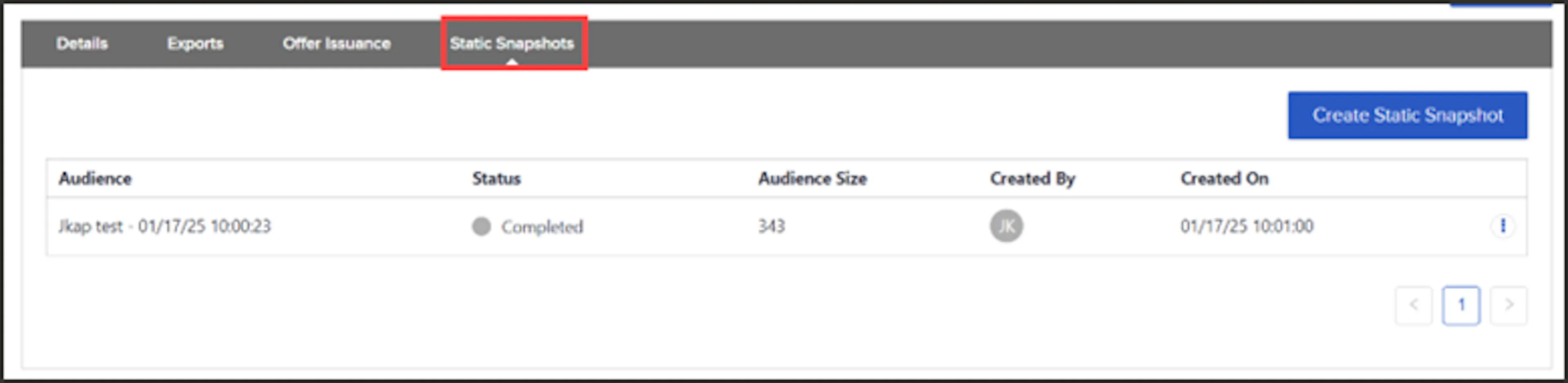 Static Snapshots tab on the audience detail page