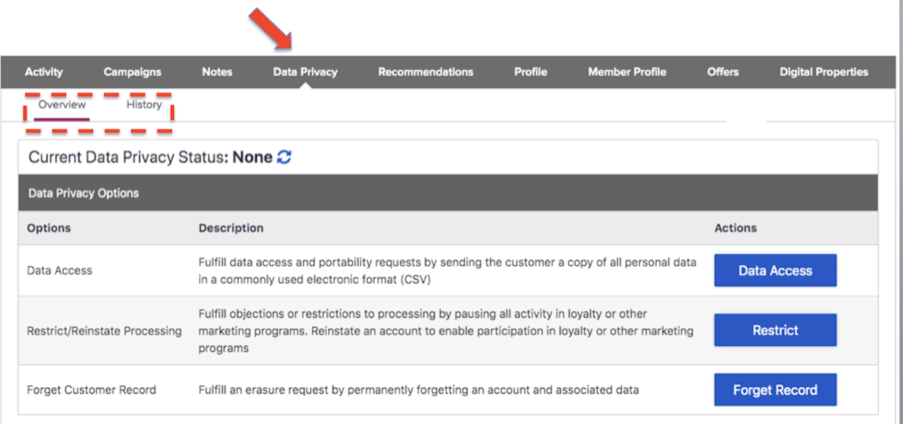 Data Privacy tab sub-tabs as displayed in the Customers Module