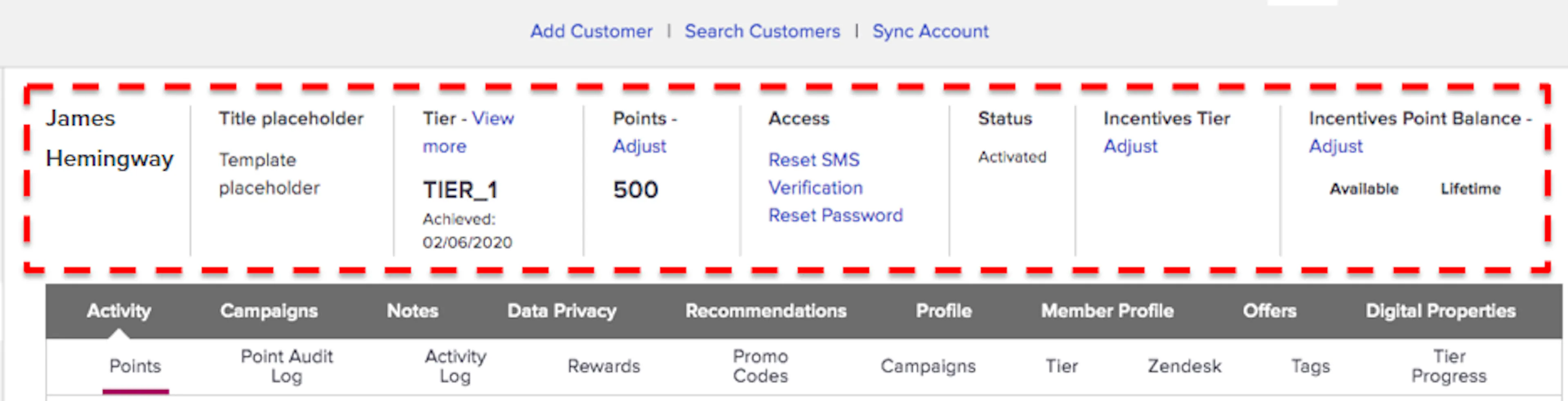 Customer profile summary row as displayed in the Customers Module