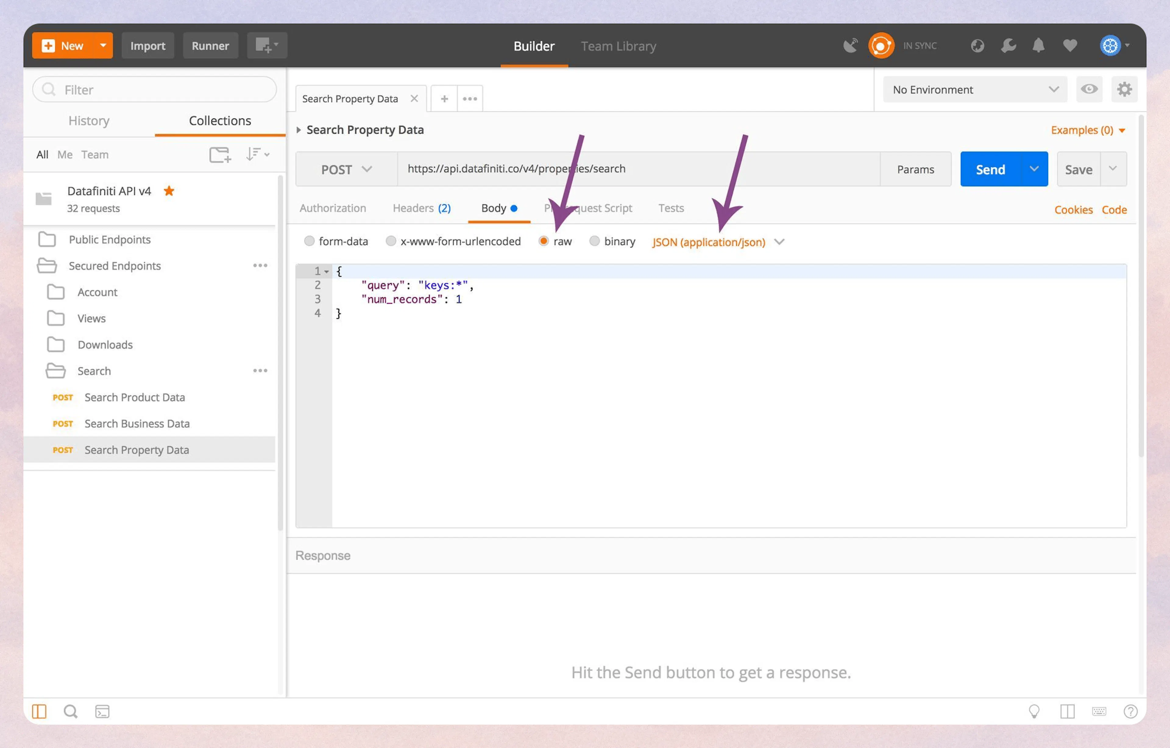 Setting up the query in Postman