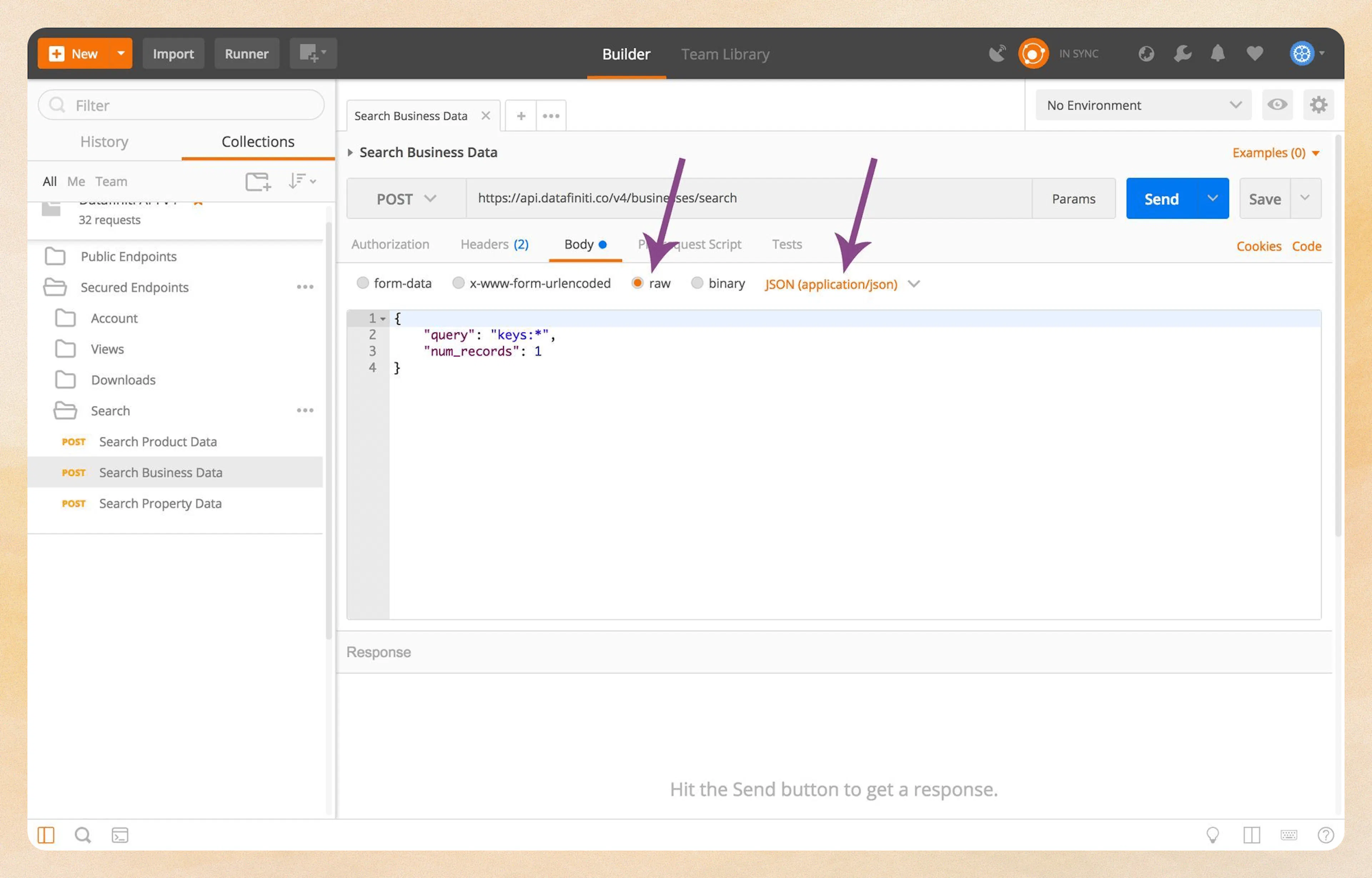 Setting up the query in Postman