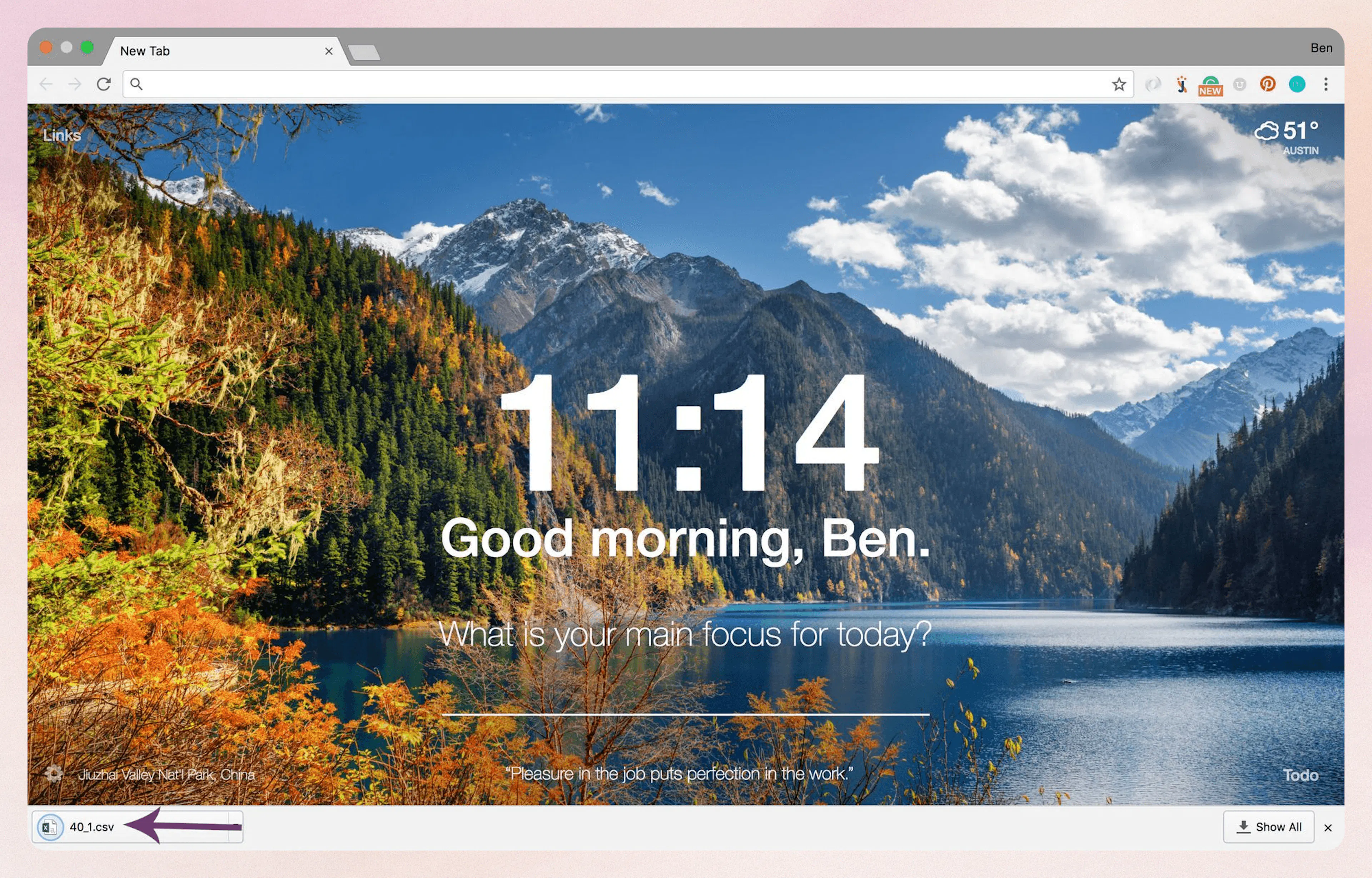 Download triggered in browser