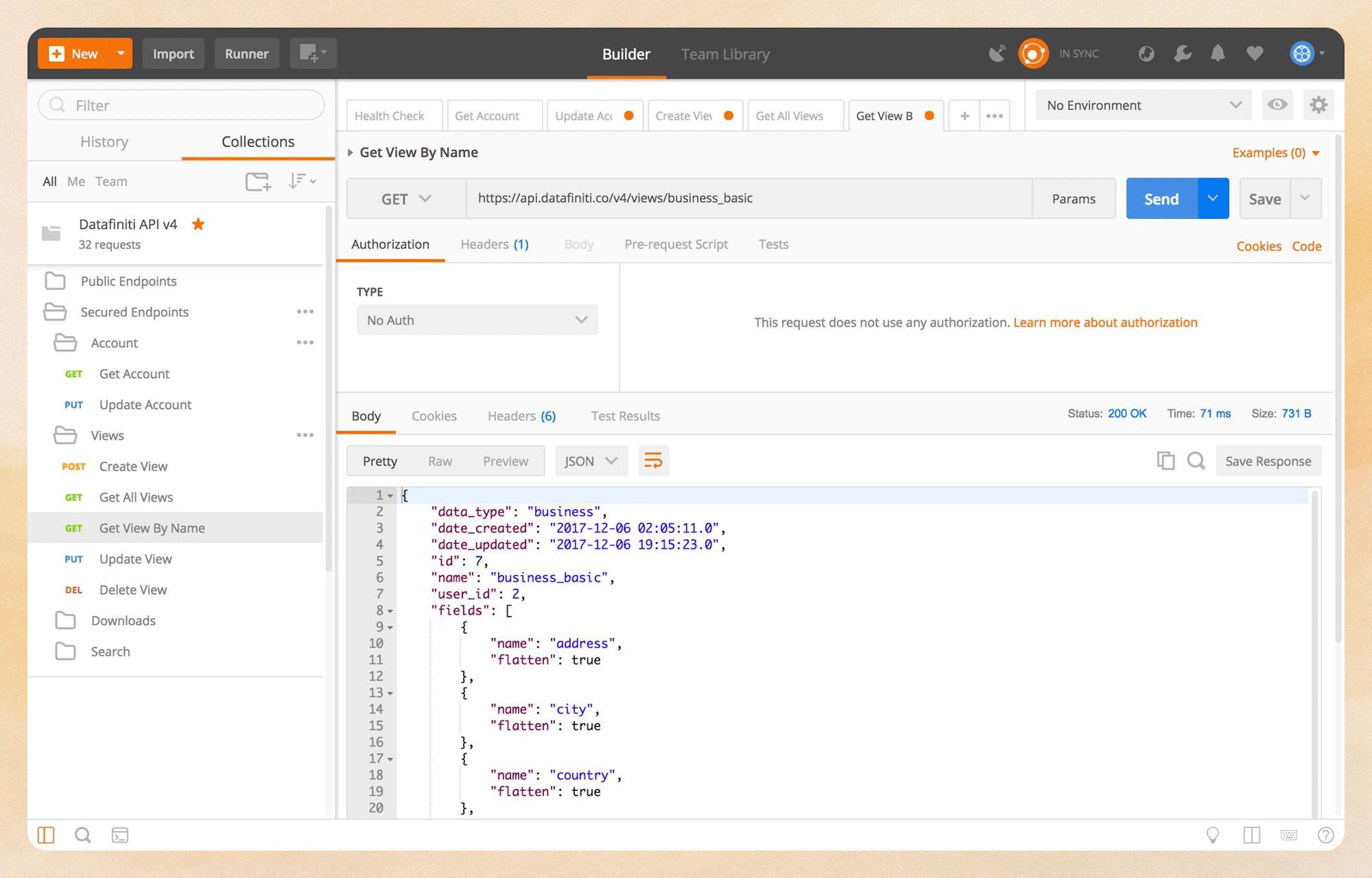 Get View By Name endpoint showing view details