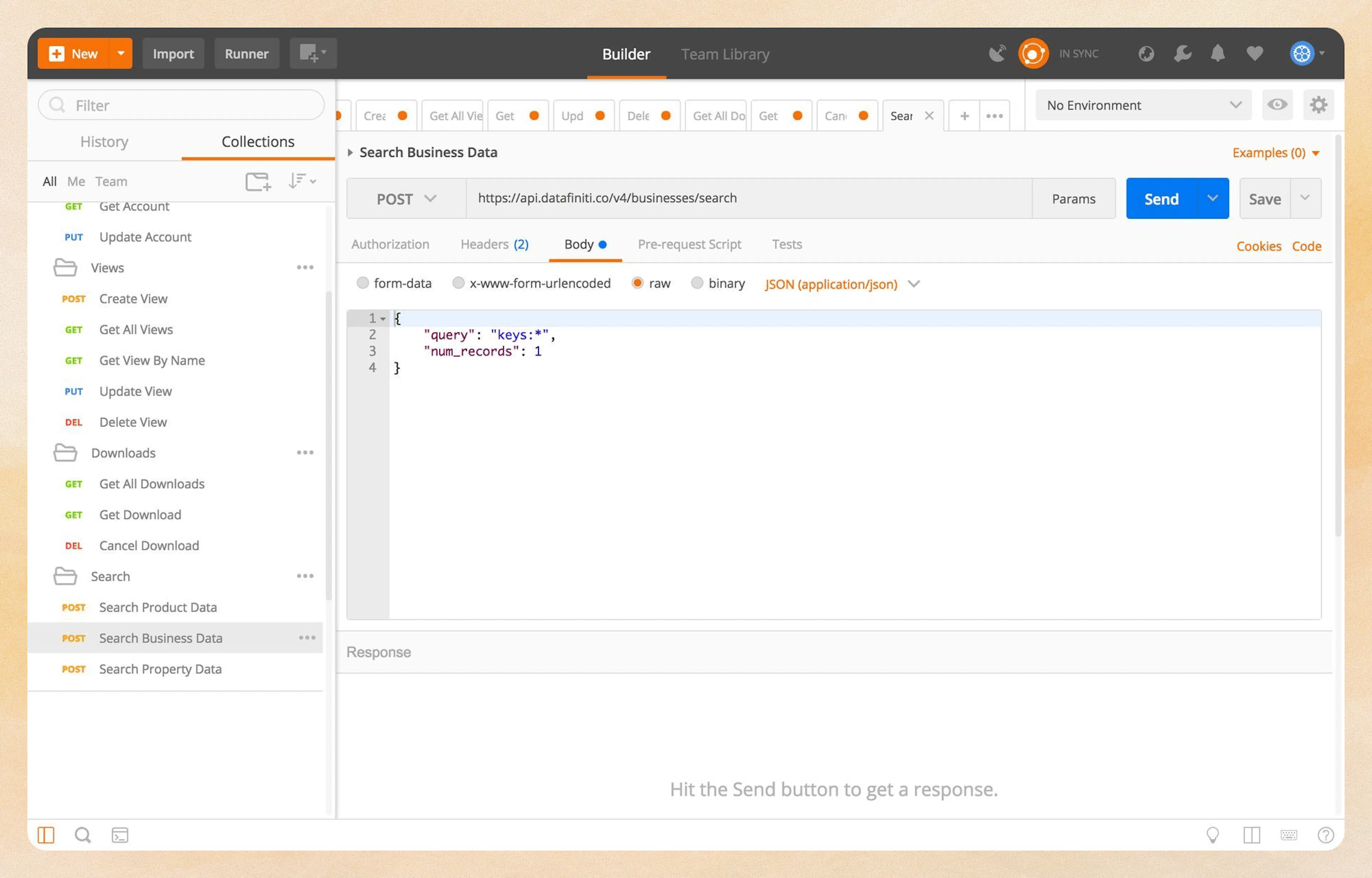 Search Business Data endpoint in Postman