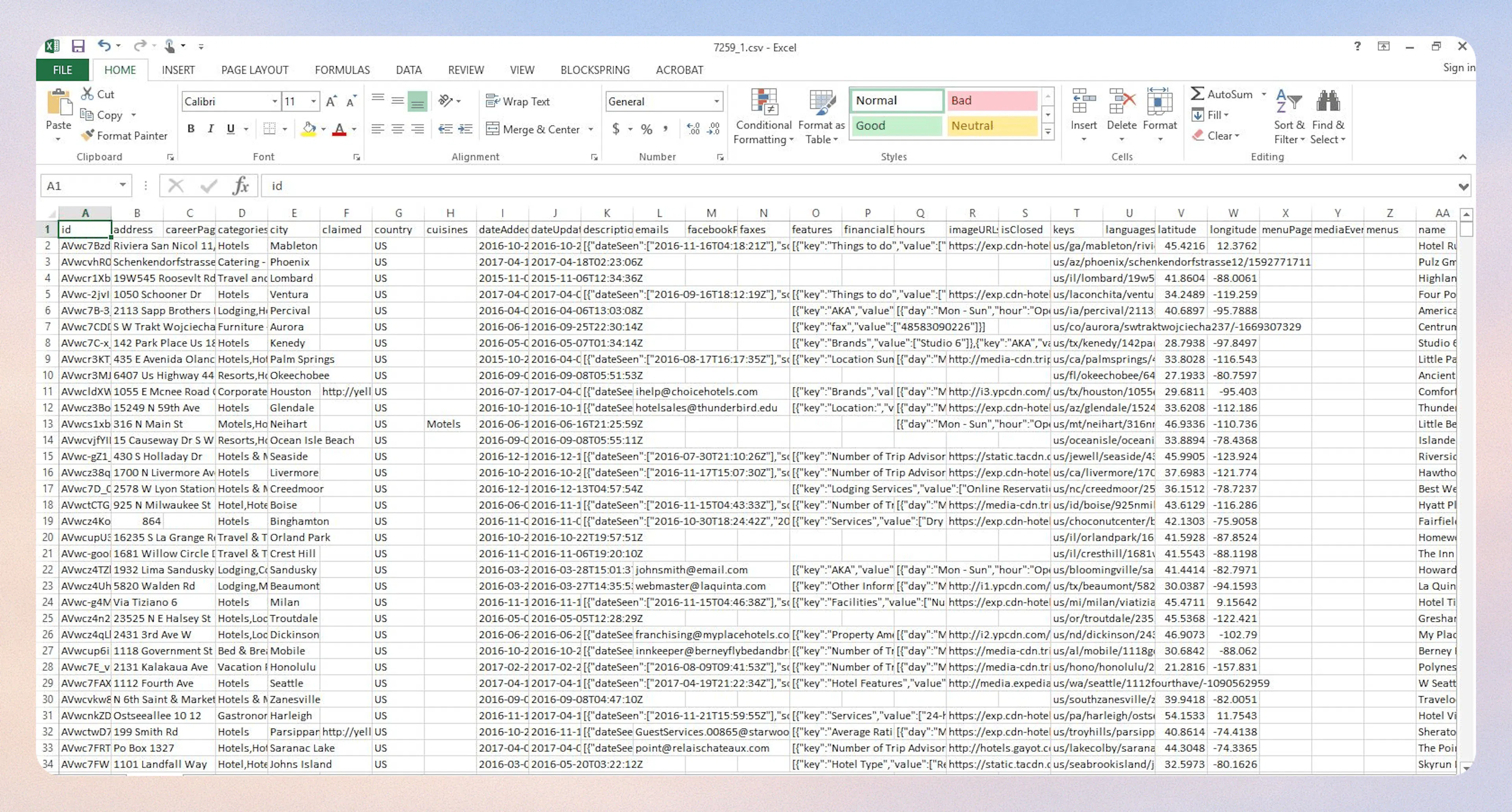 Sample hotel business data output in Excel
