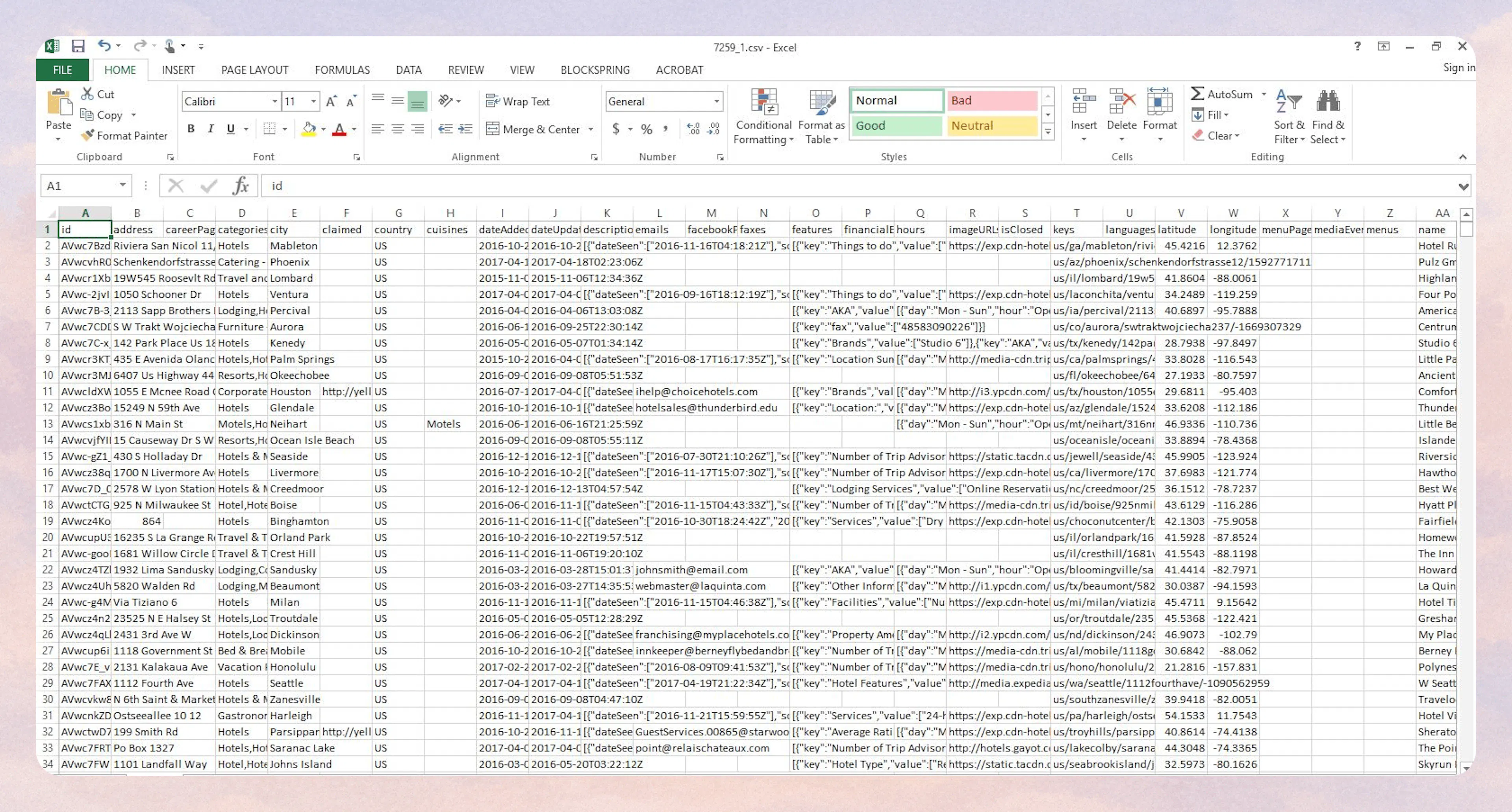 Sample hotel business data output in Excel