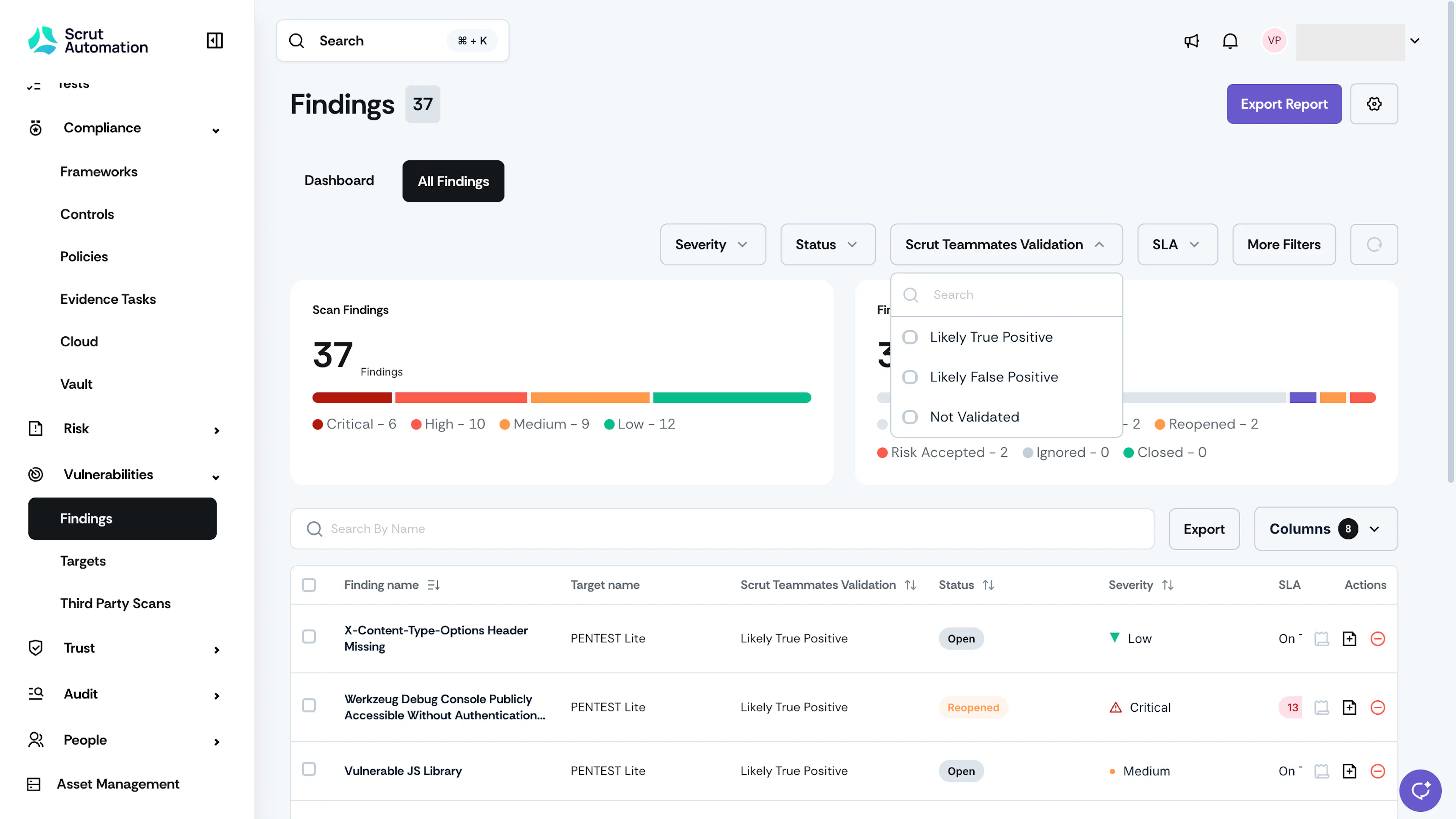 All Findings Page PTaaS Lite
