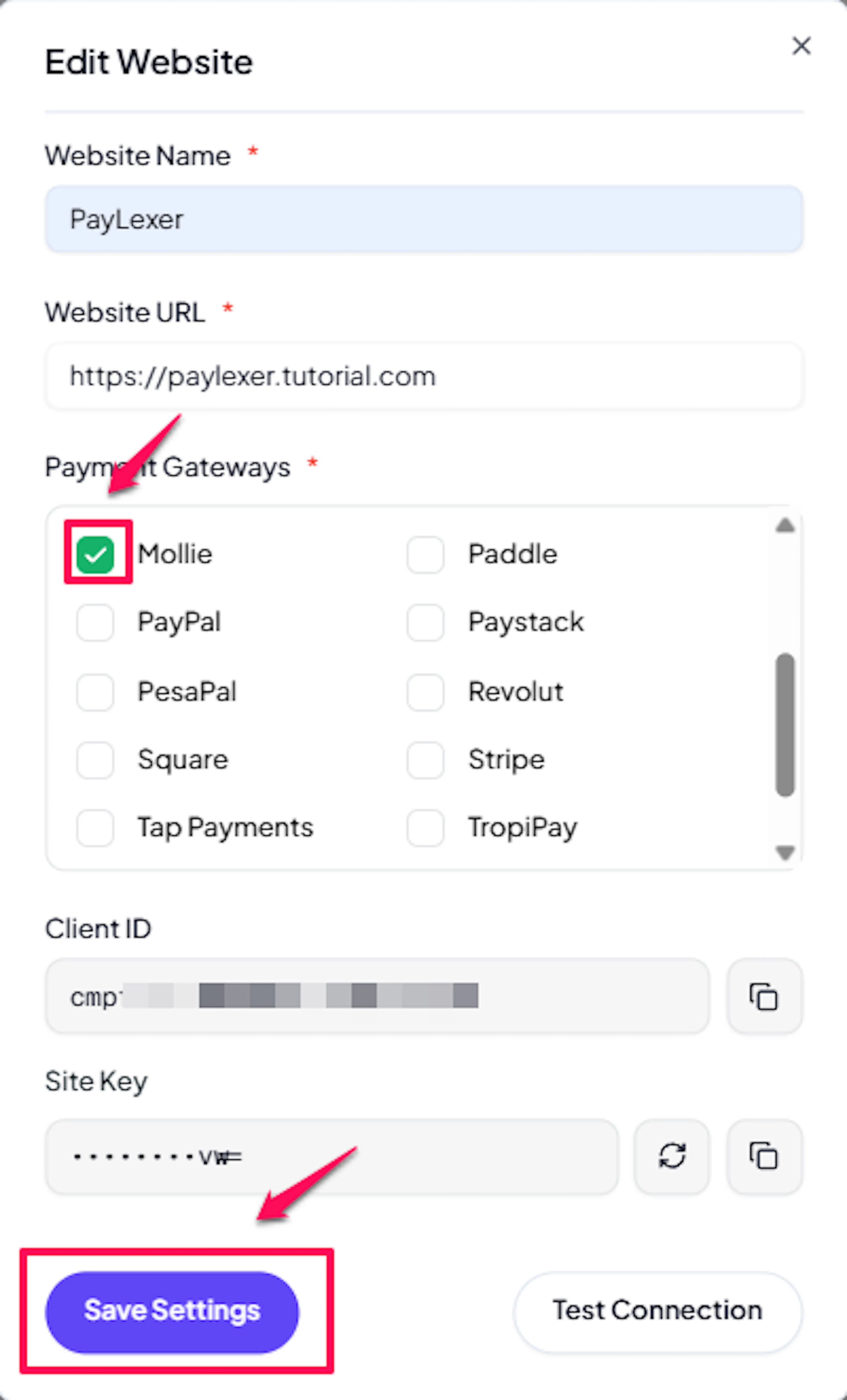 PayLexer Edit Website modal with the Mollie checkbox selected and the Save Settings button highlighted